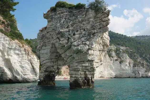 Ev, 2 Yatak Odası, Buzdolabı