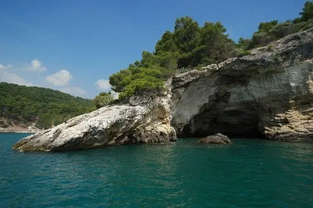 Ev, 2 Yatak Odası, Buzdolabı