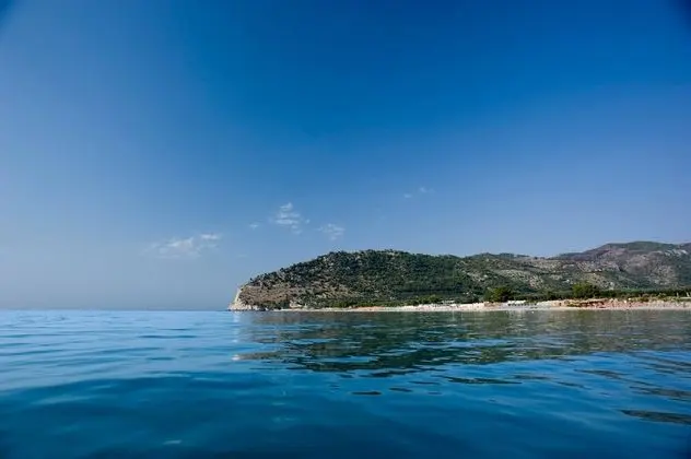 Ev, 2 Yatak Odası, Buzdolabı