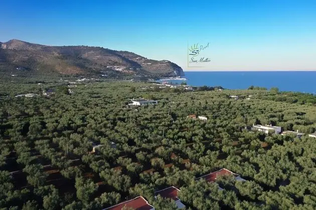 Ev, 2 Yatak Odası, Buzdolabı