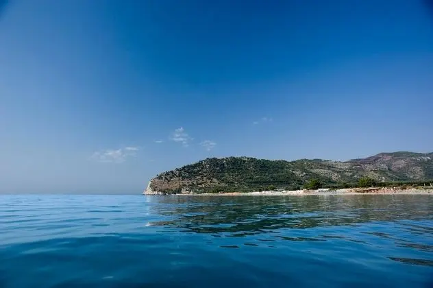 Ev, 2 Yatak Odası, Buzdolabı