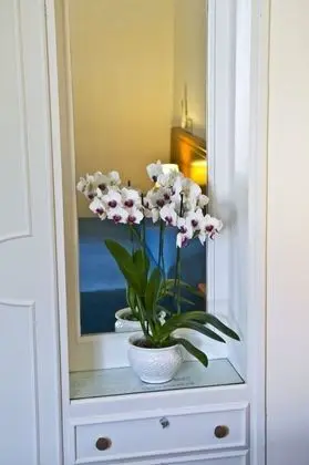 Standard Tek Büyük Yataklı Oda, Bahçe Manzaralı