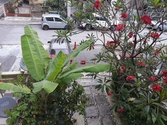 Üç Kişilik Oda