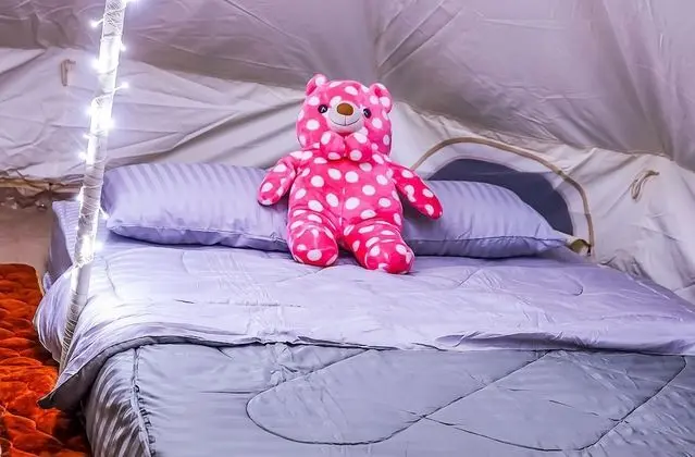 Deluxe Çadır, 1 Yatak Odası, Sigara İçilmez, Bahçe Manzaralı