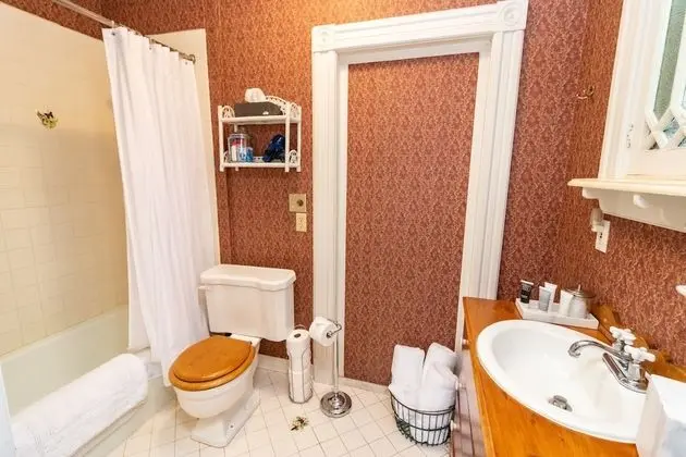 Superior Tek Büyük Yataklı Oda, Banyolu/Duşlu (Room 2)
