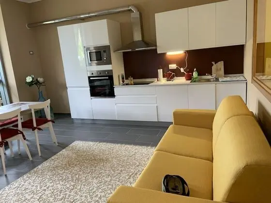 Business Apart Daire (Apartment Suite B3b)