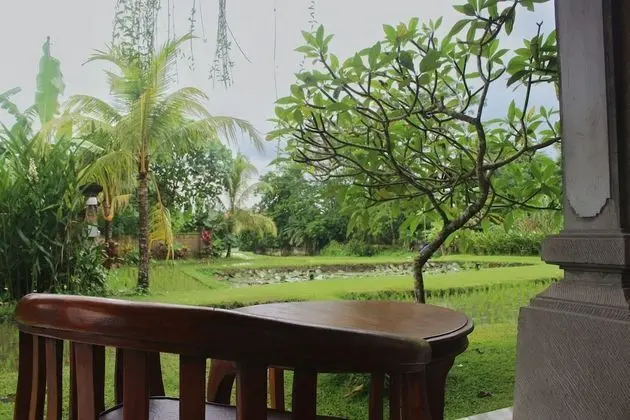 Deluxe Oda (Garden)