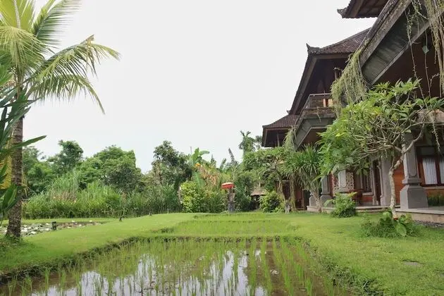 Deluxe Oda (Garden)