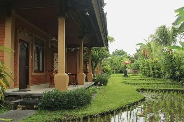 Superior Oda (Garden)