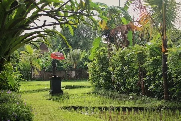 Superior Oda (Garden)
