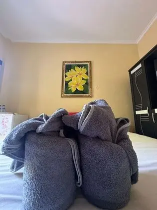 Deluxe Tek Büyük Yataklı Oda, 1 Yatak Odası, Sigara İçilmez