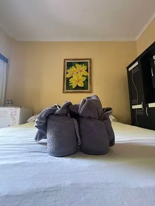 Deluxe Tek Büyük Yataklı Oda, 1 Yatak Odası, Sigara İçilmez, Bahçe Manzaralı