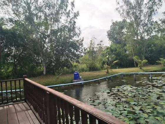 Family Bungalov