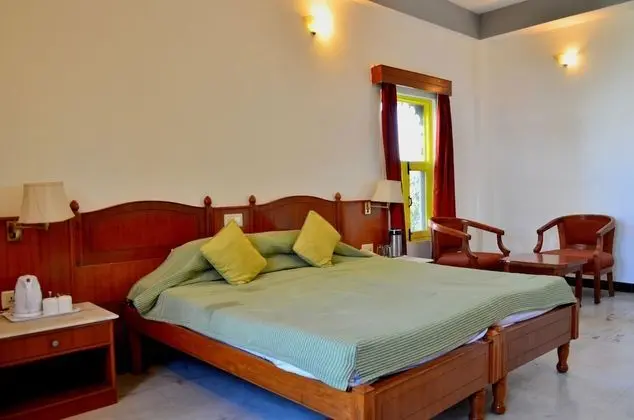 Deluxe Tek Büyük veya İki Ayrı Yataklı Oda, 1 Yatak Odası, Şehir Manzaralı
