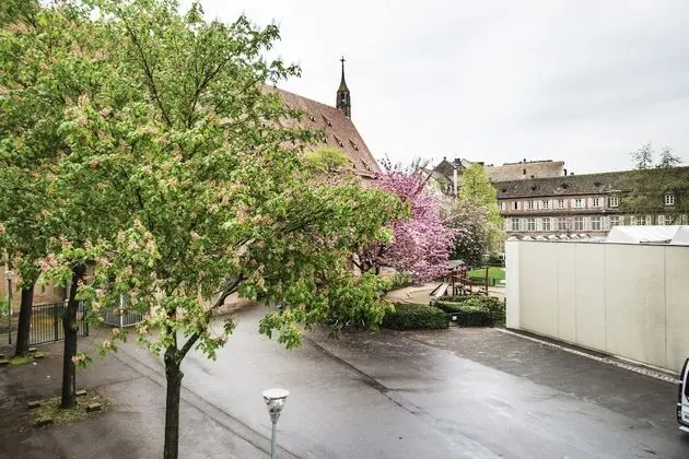 Apart Daire, Özel Banyo, Park Manzaralı (Appartement Ethnique)