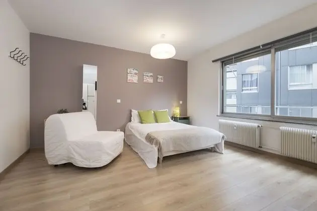 Stüdyo, Özel Banyo, Şehir Manzaralı (Studio Nature et Bois)