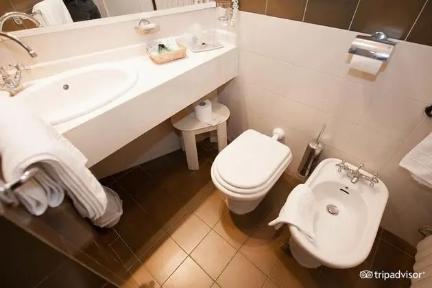 Standard Tek Büyük veya İki Ayrı Yataklı Oda (Standard Plus Double or Twin Room )