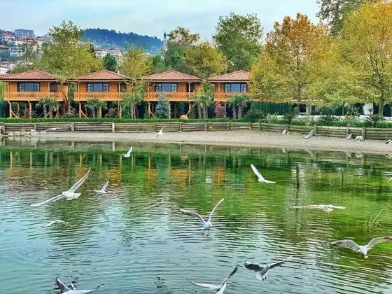 Serender Oda, Göl Manzaralı, Balkonlu