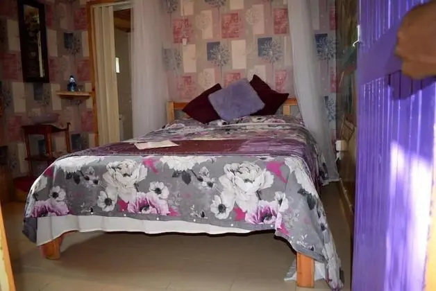 Deluxe Tek Büyük Yataklı Oda, 1 Büyük (Queen) Boy Yatak, Bahçe Manzaralı, Zemin Kat