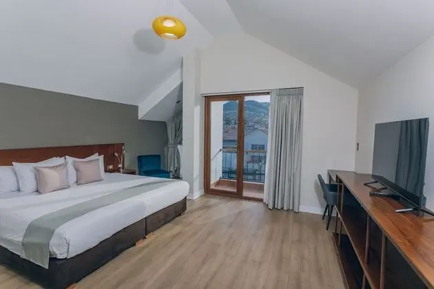 Deluxe Oda, 1 En Büyük (King) Boy Yatak, Sigara İçilmez, Şehir Manzaralı