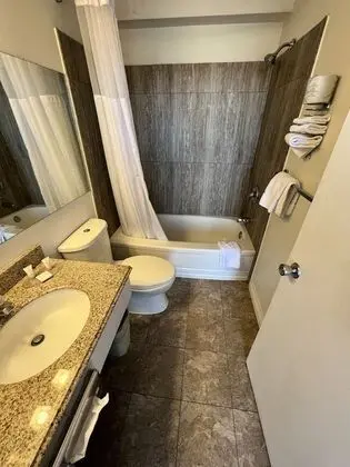 Stüdyo Süit, Birden Çok Yatak, Sigara İçilmez (1 Queen Bed and 1 Ful Bed)