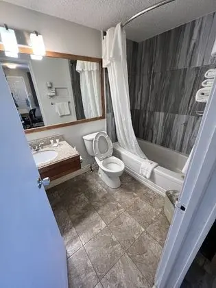 Stüdyo Süit, Birden Çok Yatak, Sigara İçilmez (1 Queen Bed and 1 Ful Bed)
