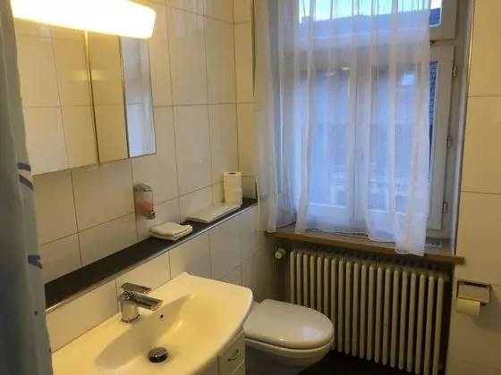 Business Tek Büyük Yataklı Oda, 1 Çift Kişilik Yatak, Sigara İçilmez, Şehir Manzaralı