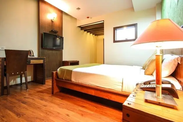 Premium Tek Büyük Yataklı Oda, Şehir Manzaralı