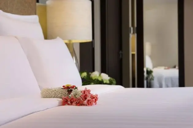 Executive Süit, 1 Yatak Odası, Şehir Manzaralı