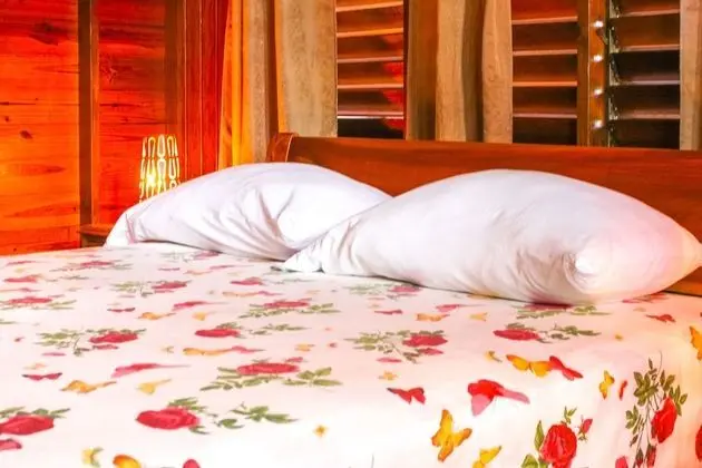 Deluxe Kır Evi