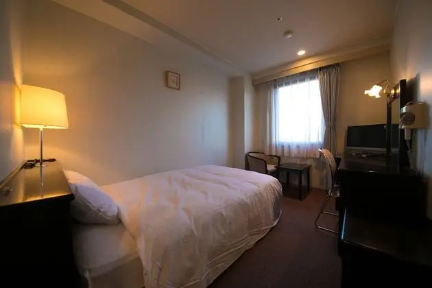 Standard Tek Kişilik Oda, 1 Yatak Odası, Sigara İçilebilir, Buzdolabı