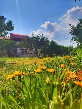 Apart Mandalin Garden View