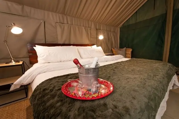 Luxury Çadır