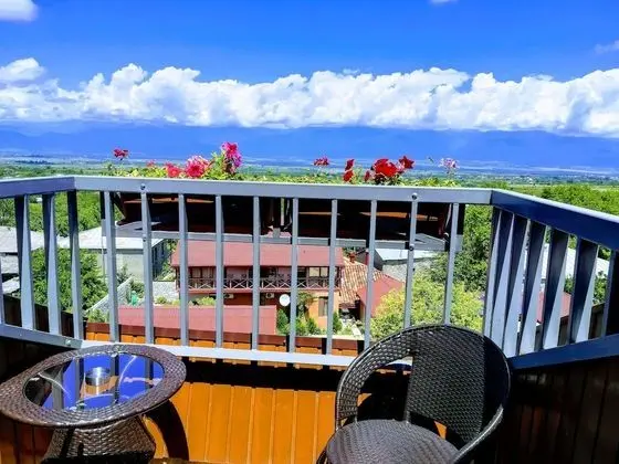 Standard Tek Büyük veya İki Ayrı Yataklı Oda, 1 Yatak Odası, Balkon, Dağ Manzaralı