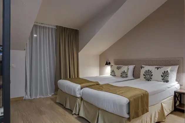 Standard Tek Büyük veya İki Ayrı Yataklı Oda, 1 Yatak Odası, Üzüm Asması Manzaralı