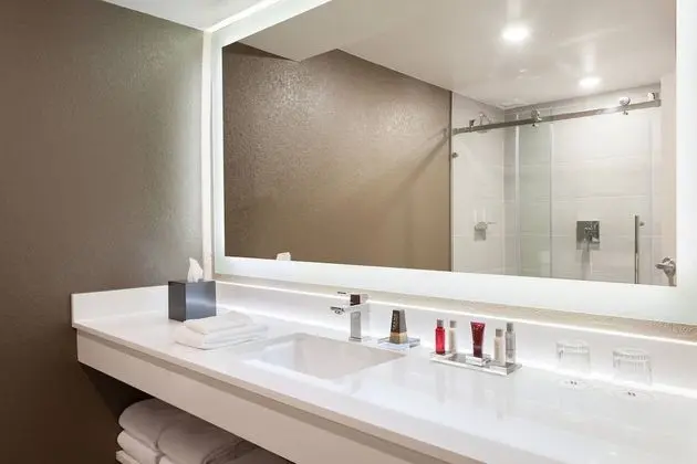 Oda, 1 En Büyük (King) Boy Yatak (Mobility Accessible, Roll-In Shower)