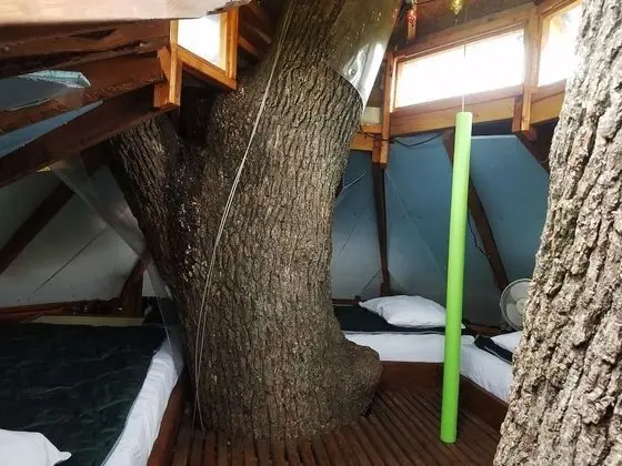 Romantic Ağaç Ev, Birden Çok Yatak, Sıcak Su Havuzu, Park Manzaralı