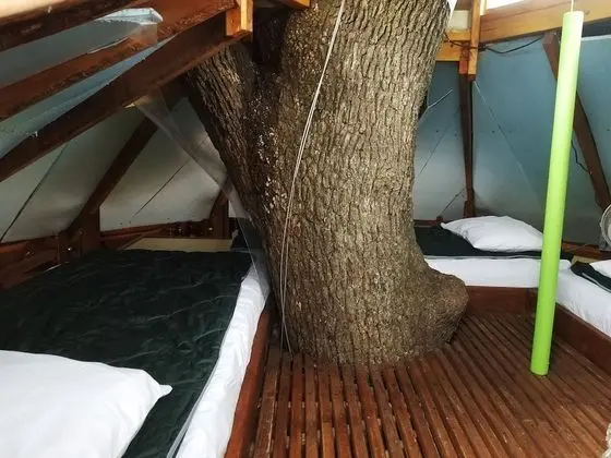 Romantic Ağaç Ev, Birden Çok Yatak, Sıcak Su Havuzu, Park Manzaralı