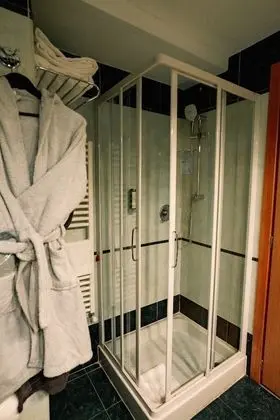 Standard Tek Büyük Yataklı Oda, Park Manzaralı