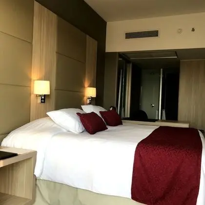 Standard Tek Büyük Yataklı Oda, 1 En Büyük (King) Boy Yatak, Sigara İçilmez