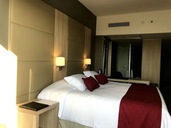 Standard Tek Büyük Yataklı Oda, 1 En Büyük (King) Boy Yatak, Sigara İçilmez