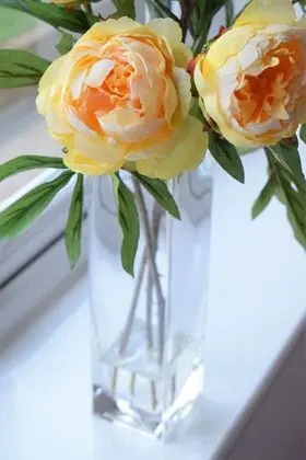 Luxury Apart Daire, Sigara İçilmez