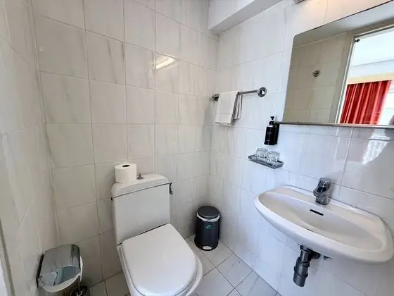 Standard Tek Büyük Yataklı Oda, 1 Çift Kişilik veya 2 Tek Kişilik Yatak, Şehir Manzaralı