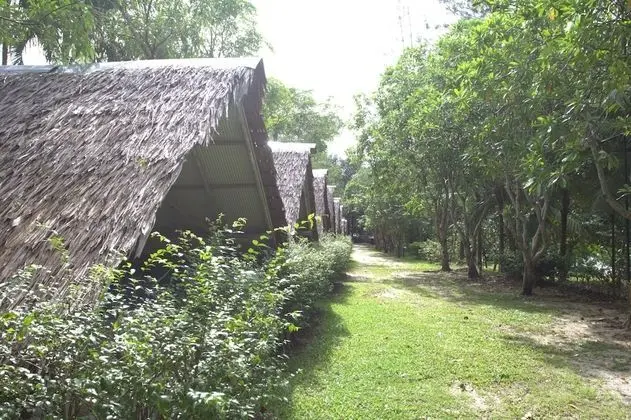 Tent Kiang Daow