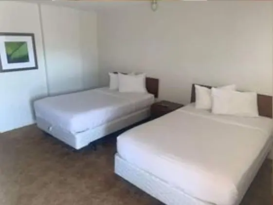Oda, 2 Çift Kişilik Yatak