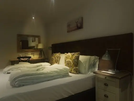 Tek Büyük veya İki Ayrı Yataklı Oda (Dog Friendly Room)