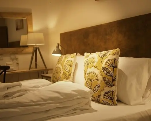 Tek Büyük veya İki Ayrı Yataklı Oda (Dog Friendly Room)