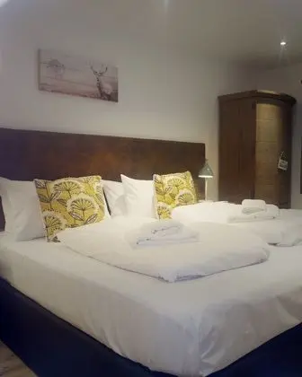 Tek Büyük veya İki Ayrı Yataklı Oda (Dog Friendly Room)