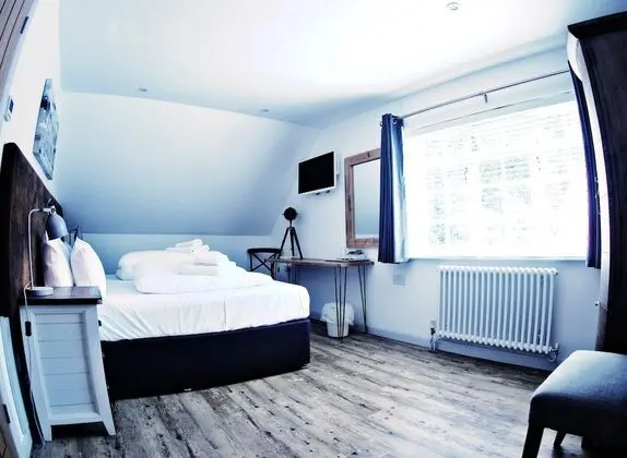Tek Büyük veya İki Ayrı Yataklı Oda (Not Dog Friendly Room)