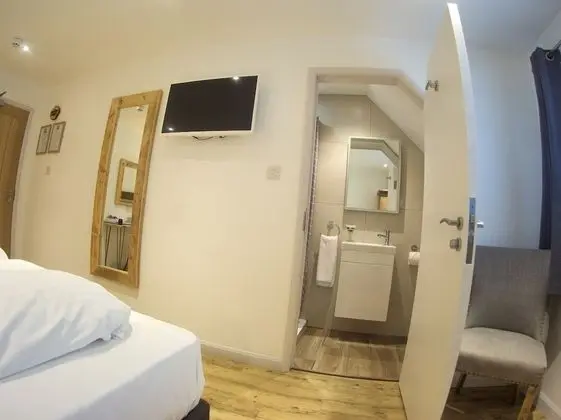 Tek Büyük veya İki Ayrı Yataklı Oda (Not Dog Friendly Room)